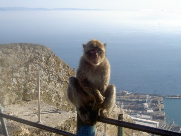 Гибралтар - дружественный визит.