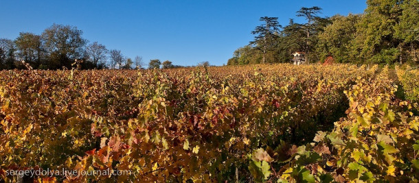 Французские виноградники и винные погреба