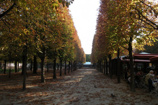 Осень с  Будапештом попрощалась, через два часа в Париже оказалась....... 