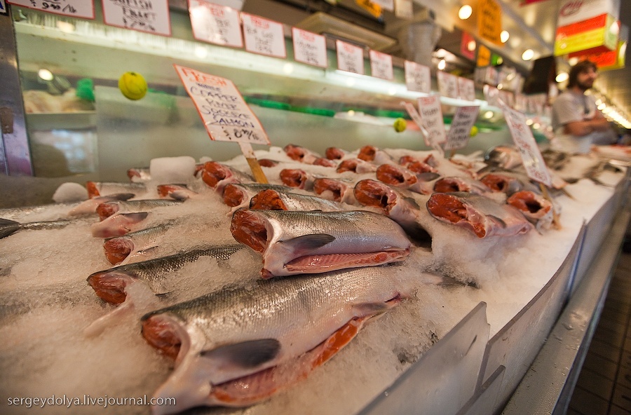Rohr Fish Market